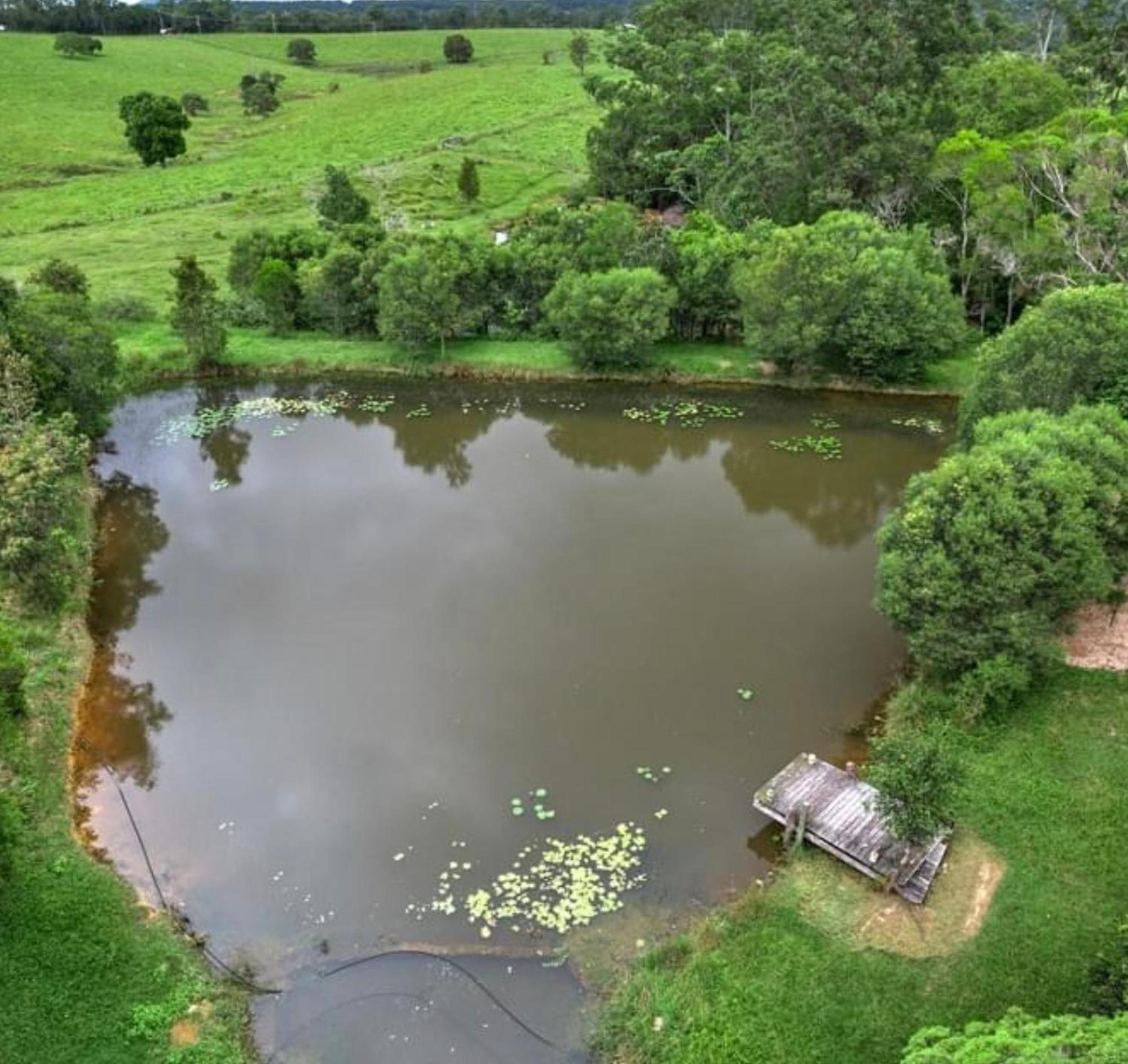 Noosa Pomona Retreat Villa Sunshine Coast Ngoại thất bức ảnh